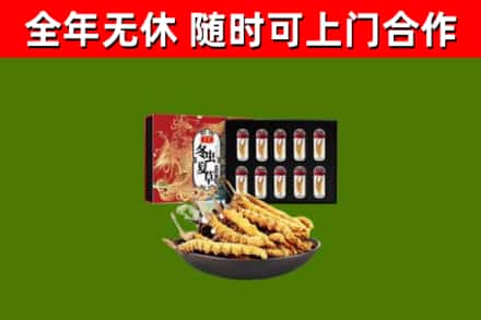 青海省回收冬虫夏草价格